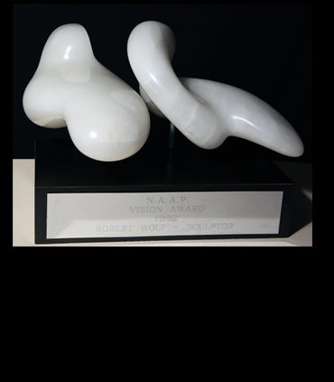 NAAP Vision Award